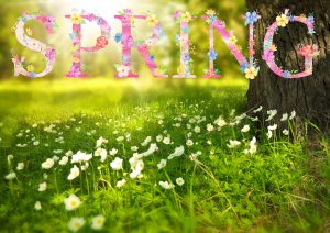 Happy Spring Day